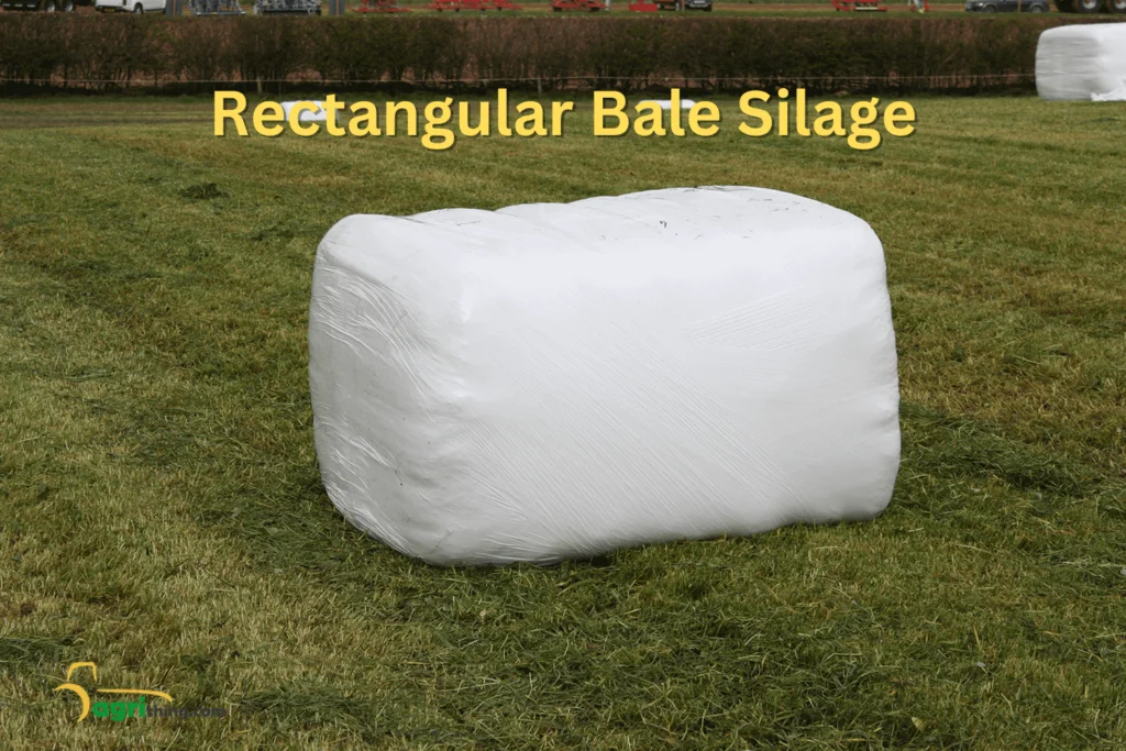 Choosing the Right Baling Approach: Round Bale Silage 2 Rectangular Bale Silage