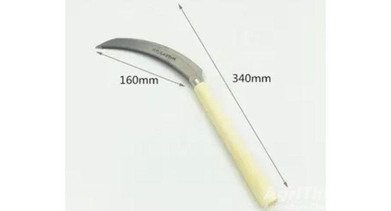 Rice Kit Tooth (Killi)