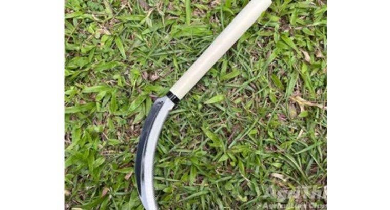 Rice Kit Tooth (Killi)