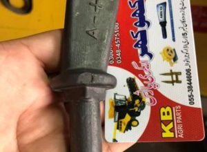 Rice Kit Tooth (Killi)