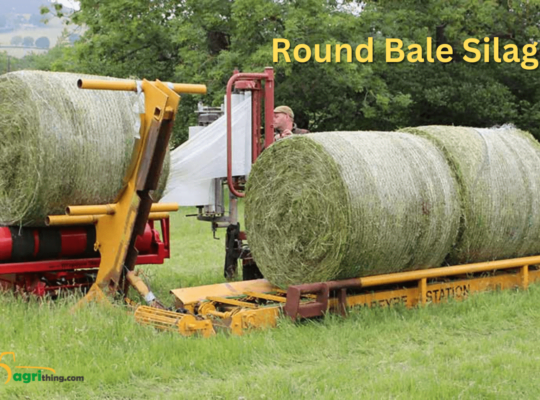 Choosing the Right Baling Approach: Round Bale Silage
