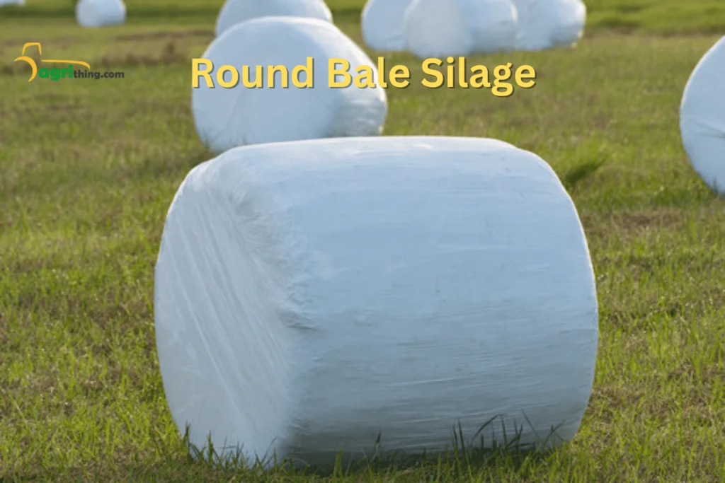 Choosing the Right Baling Approach: Round Bale Silage 1 Round Baled Silage