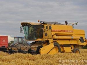 Used New Holland tx-36 Combine Harvester sale