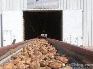 Handling and Chilled Storage of Fresh Potatoes