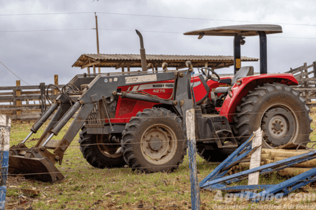 Belarus Tractor for Sale