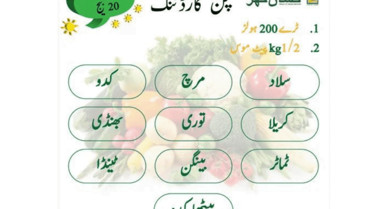 Kitchen Gardening Complete Kit With Seeds Tray And Peat Moss Perlite