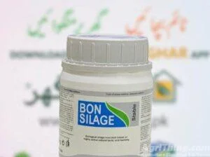 Bon Silage Stab