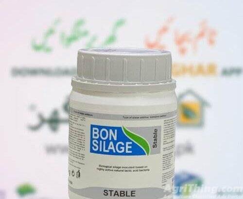 Bon Silage Stab