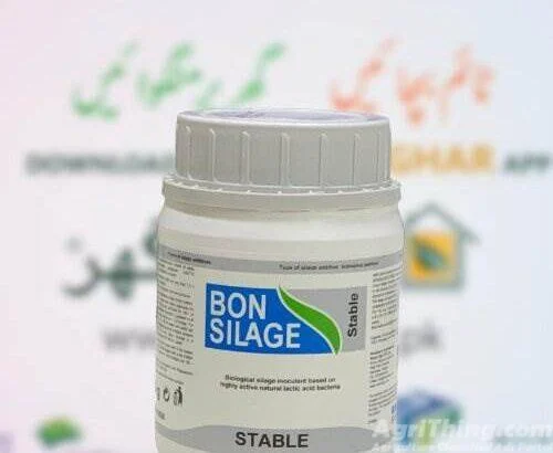 Bon Silage Stab