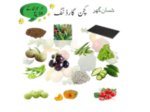 Kitchen Gardening Complete Kit With Seeds Tray And Peat Moss Perlite