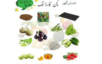 Kitchen Gardening Complete Kit With Seeds Tray And Peat Moss Perlite