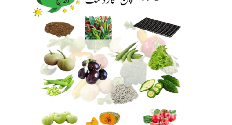 Kitchen Gardening Complete Kit With Seeds Tray And Peat Moss Perlite