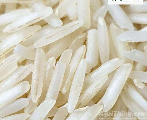 rice seed pusa