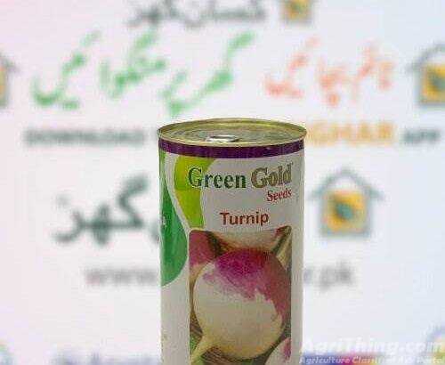 Turnip seed