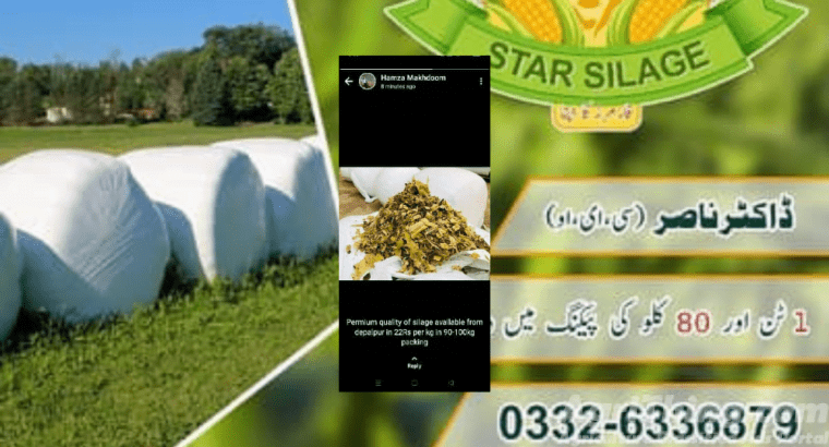 Highest Quality Maize Silage and Wheat Straw