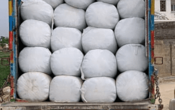 Jaspal gareen Silage