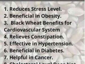 Black Wheat | Kali Gandum | Kali Kanak