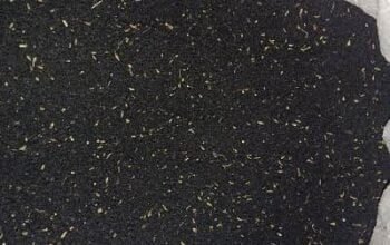 Kalonji ( Black) Seed