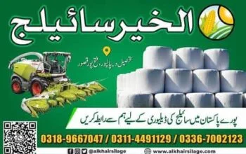 Al khair silage No #1 silage all over the Pakistan