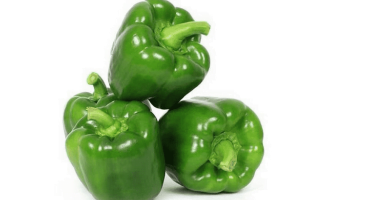 Capsicum Hybrid F1 Seed