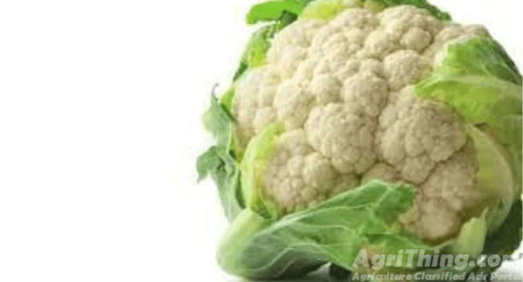 Cauliflower Treated With Fludioxonil