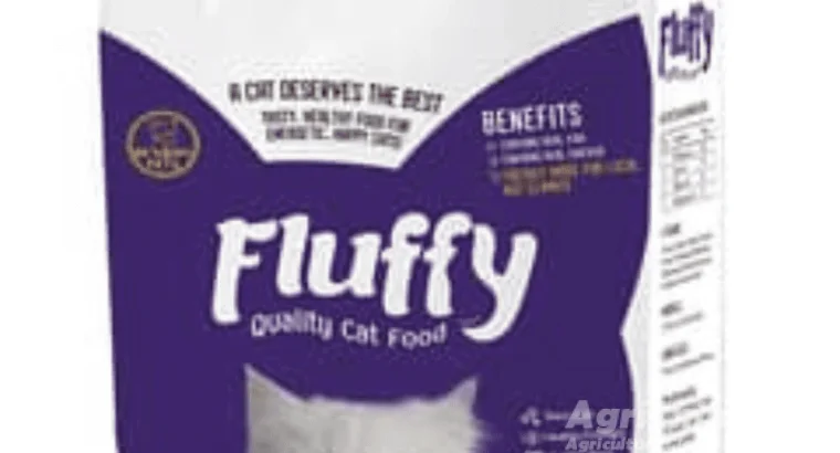 Corn Silage For Milking Animals