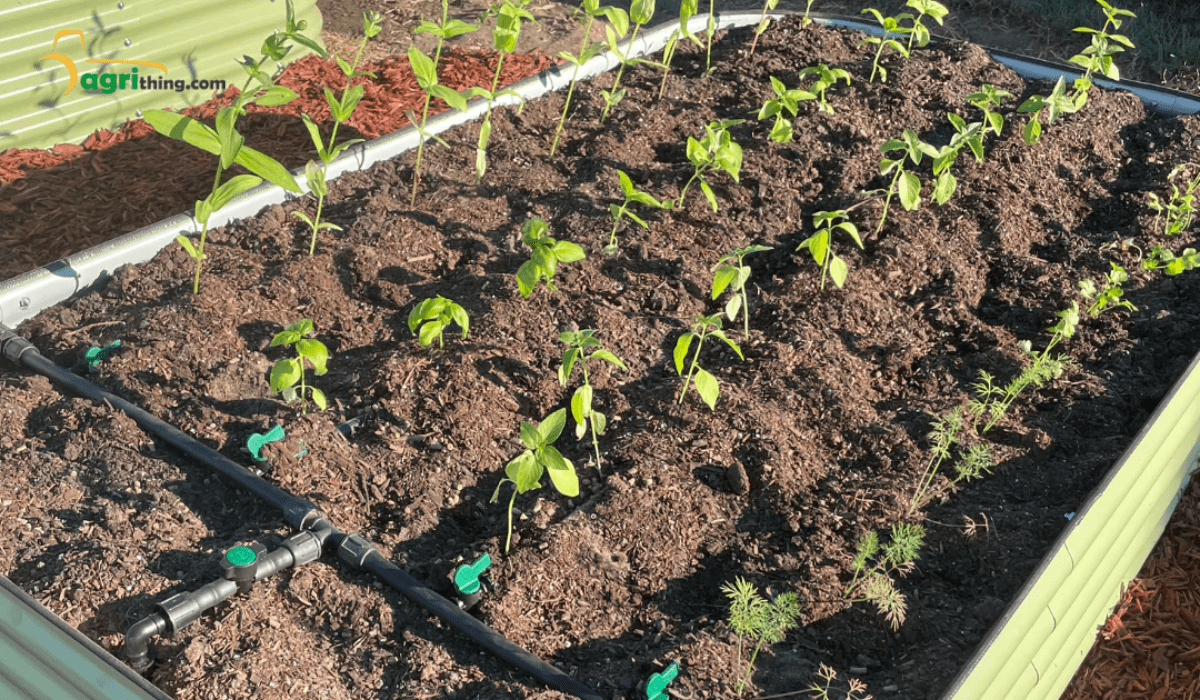 Easy DIY Drip Irrigation StepbyStep Guide