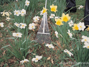 Agriculture Classified Ads - AgriThing.com 10 Draper Adjustable Lawn Rake Hand Cultivator