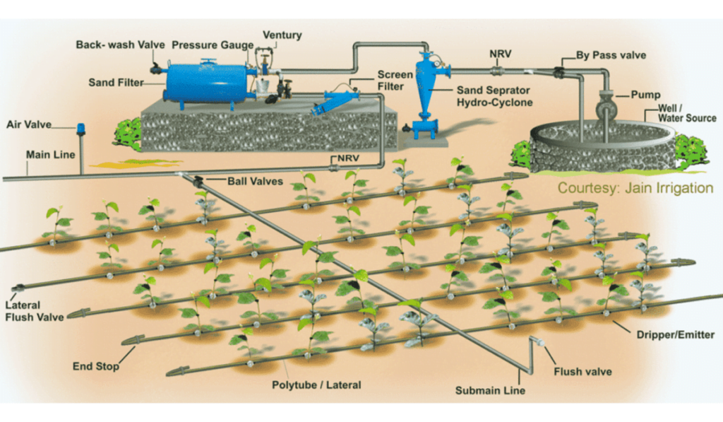 Efficient Drip Irrigation System
