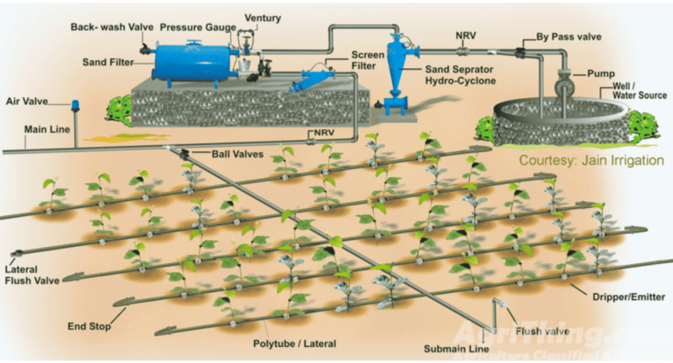 Masterful Drip Irrigation System Installation: Ultimate Guide