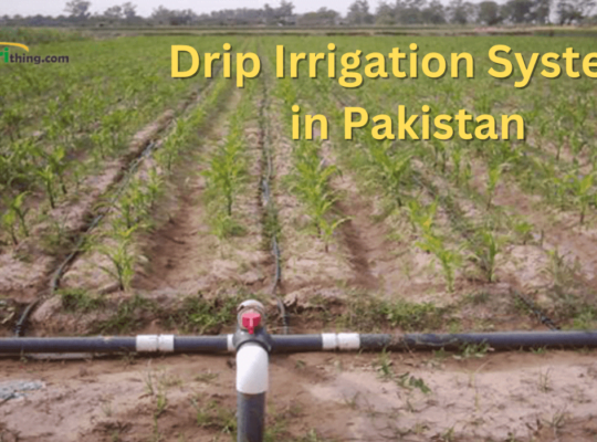 Maximize Growth: Drip Irrigation System in Pakistan Complete Guide