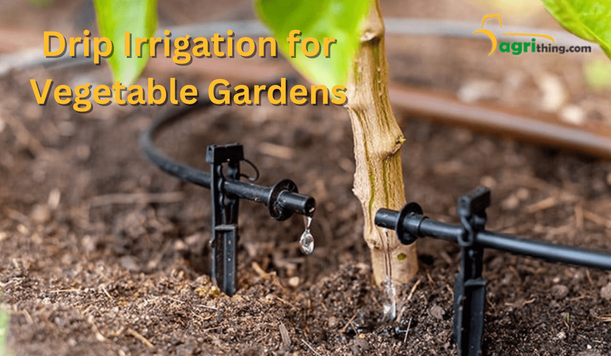 Drip Irrigation For Vegetable Gardens: Best Practices - AgriThing.com