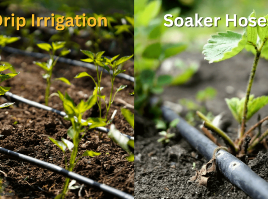 Power Up with Soaker Hoses: Effortless Watering