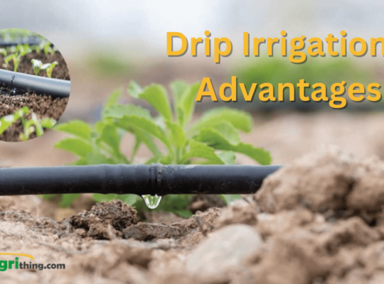 Effortless Gardening: Exploring Drip Irrigation Advantages
