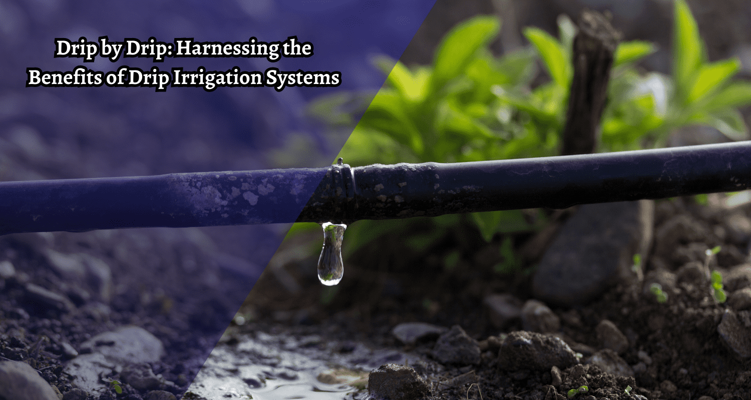 Efficient Drip Irrigation Maximize Water Use - AgriThing.com