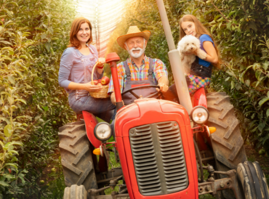 Farm Tractor Customize for Your Specific Needs