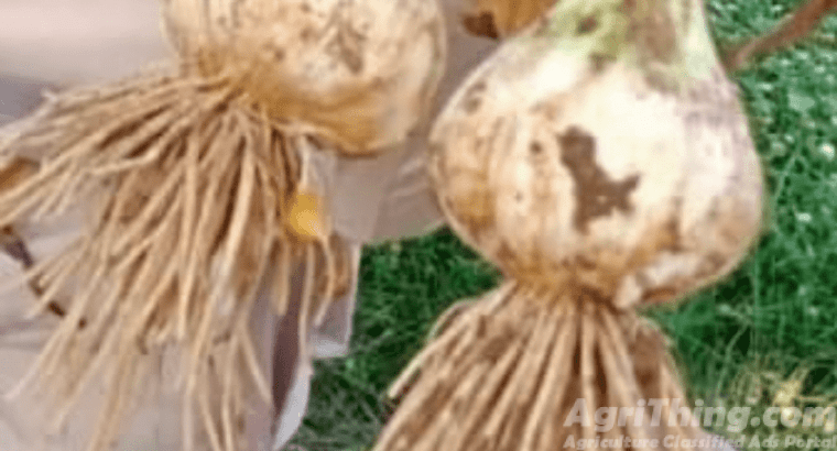 G1 Garilc NARC APPROVED