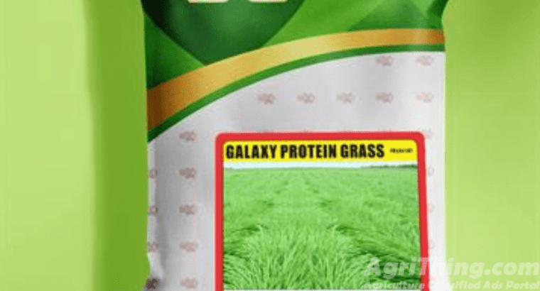 Glaxy Protiene Grass
