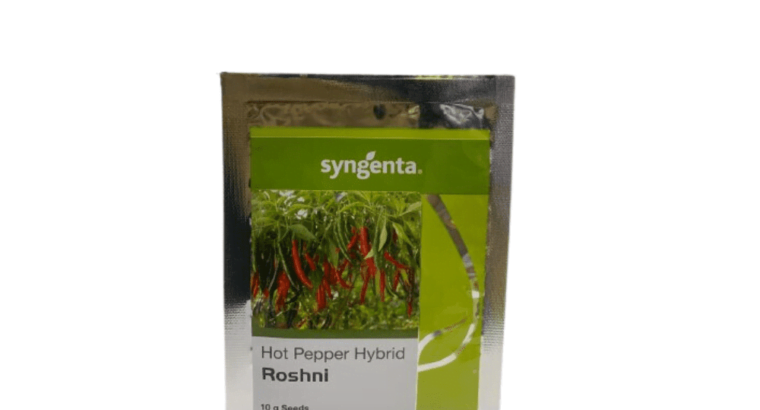 Hot Pepper Hybrid roshni