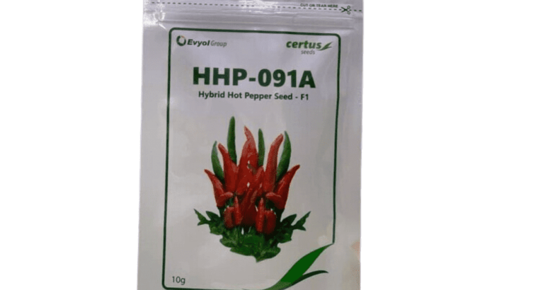 Hybrid Hot Peper Seed – F1 10g Chili Seed Certus Seed