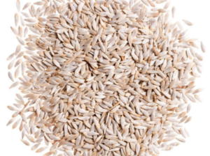 Lettuce Seed 100gm Salad Beej Green Gold Green Leafs