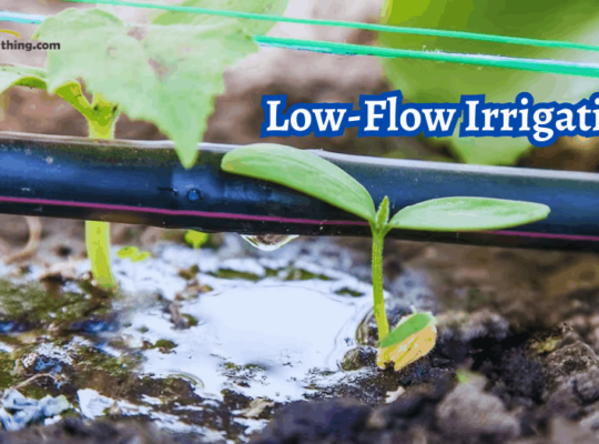 Low-flow Irrigation: Calculating Water Needs for Healthy Plants