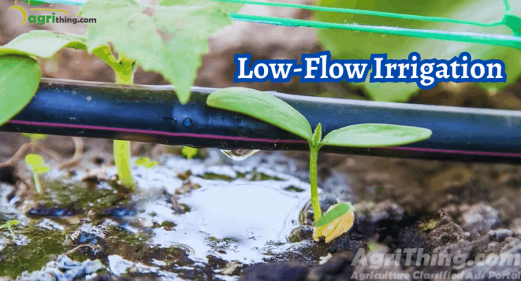 Low-flow Irrigation: Calculating Water Needs for Healthy Plants