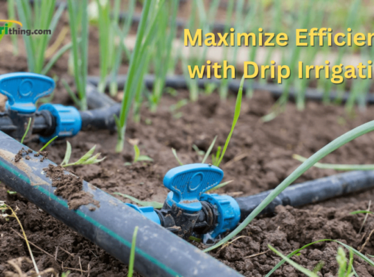 How to Maximize Efficiency with Drip Irrigation: Comprehensive Guide