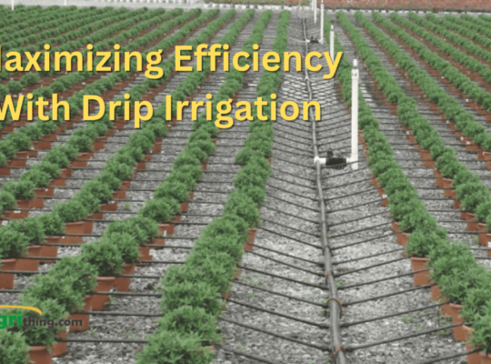 Mastering Drip Irrigation Maintenance: Tips and Tricks for Optimal Efficiency