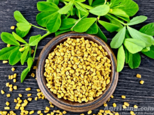 Methi Seed 1kg Kasuri Mathi Seeds Qasuri Methi Mahraja Seeds