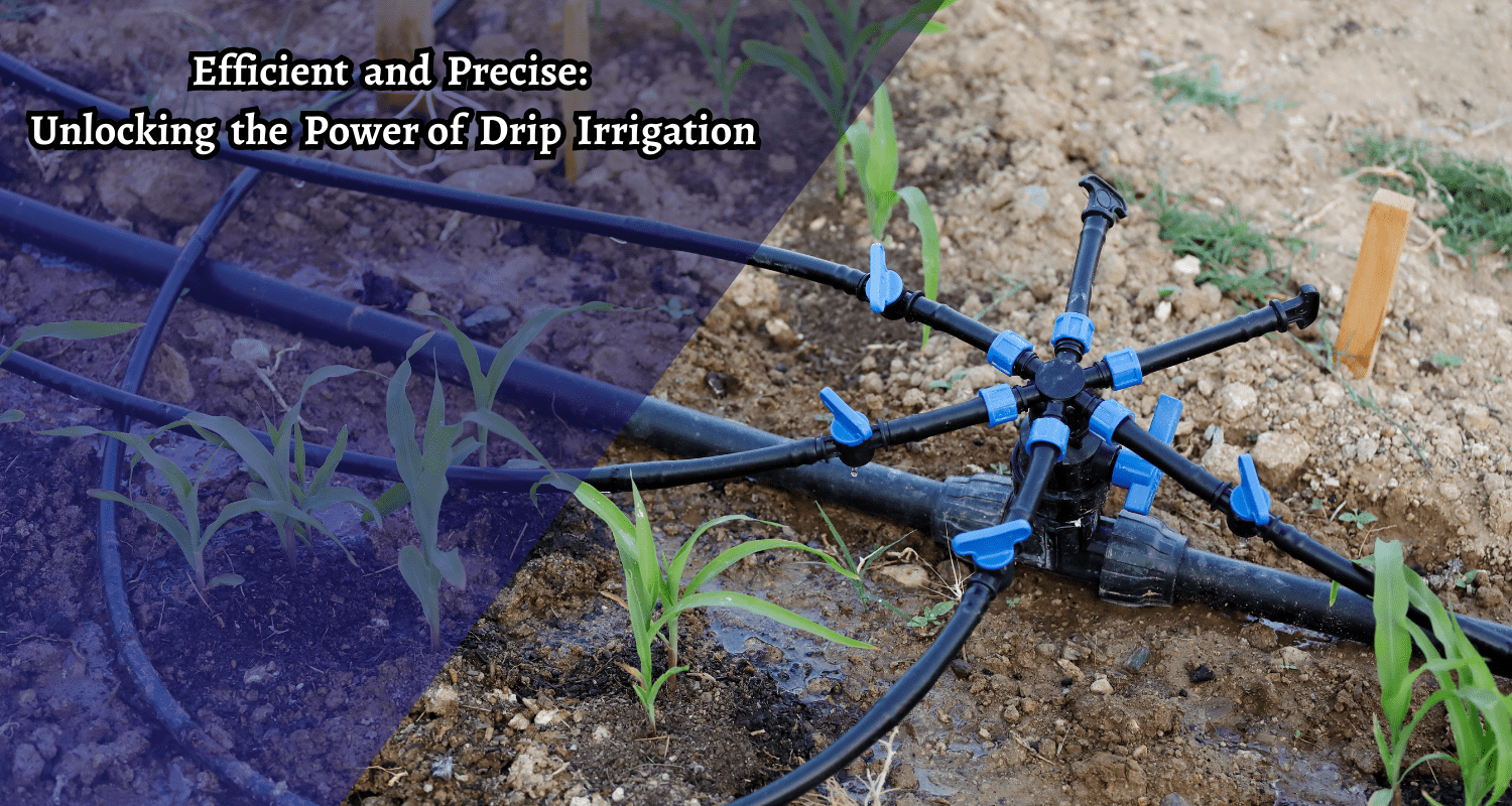 Micro Irrigation
