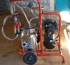 Milking Machine For Cows and buffalo’s available at best prices