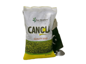 Canola 2kg Mustard Seed Sarsoon Beej