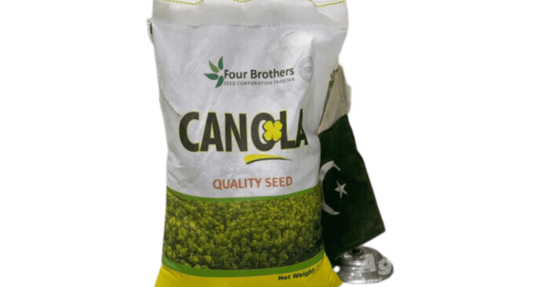 Canola 2kg Mustard Seed Sarsoon Beej